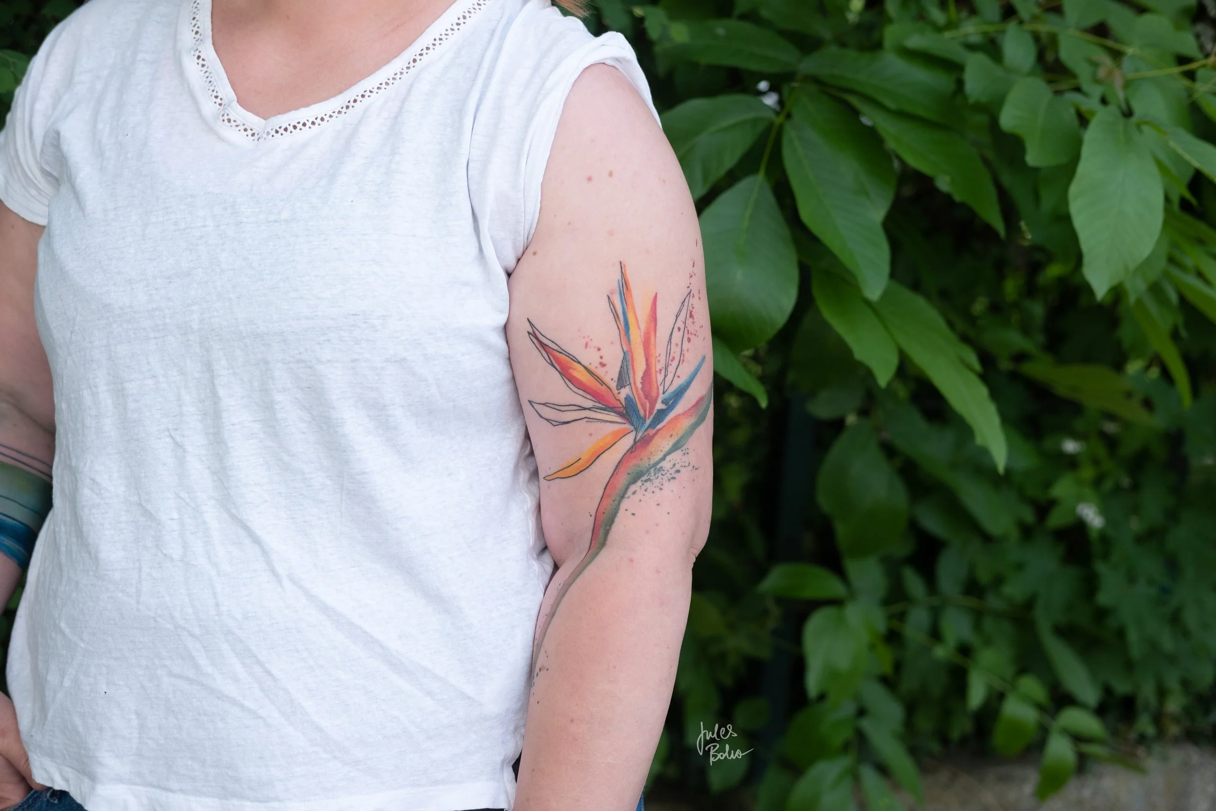 Patricia_Blume_healed.jpg