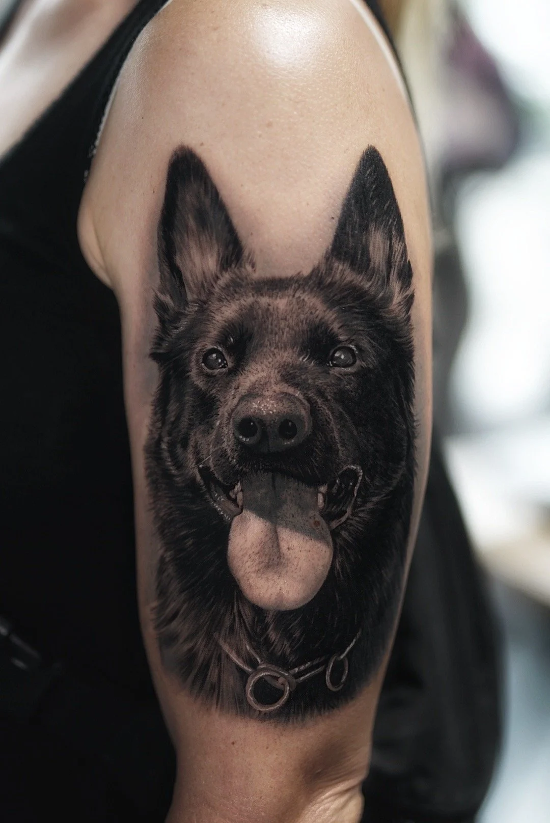 Copia de DSC04818.jpg