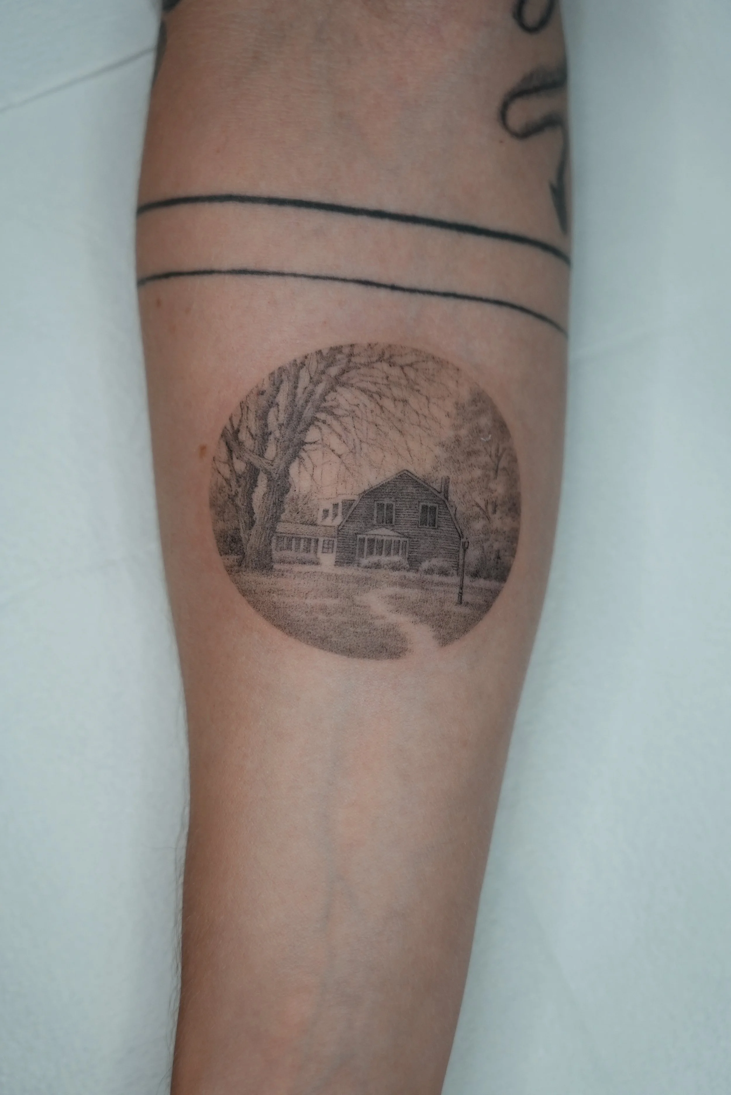 DSC03538-2.jpeg
