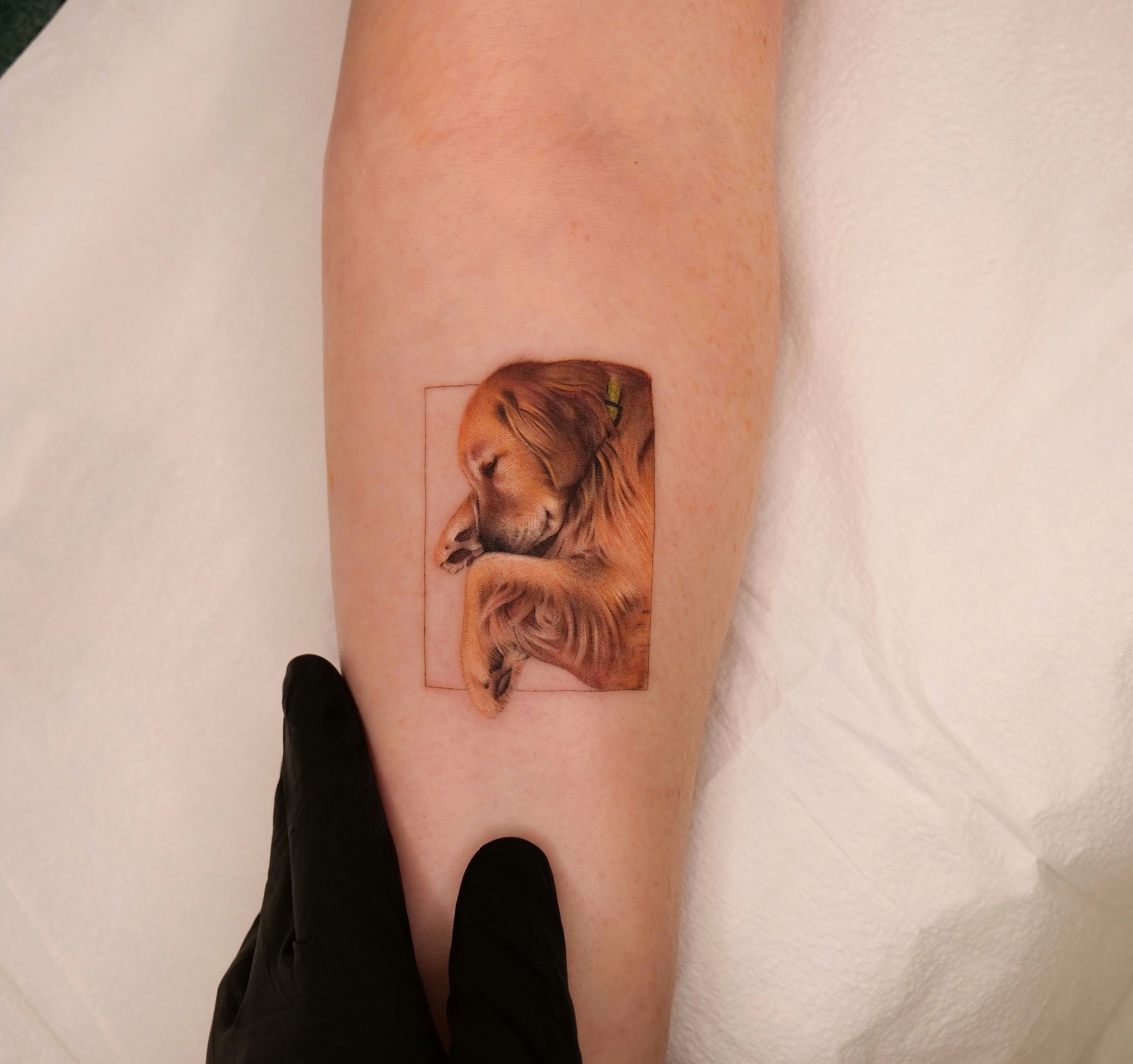 P1288688nnb 2.jpg