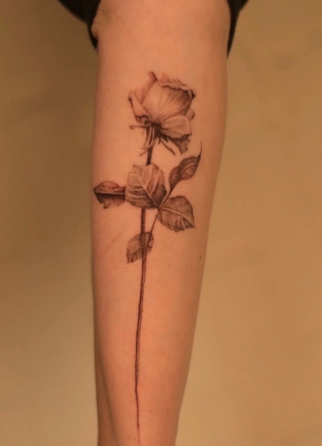 WhatsApp Image 2026-01-14 at 17.41.53.jpeg