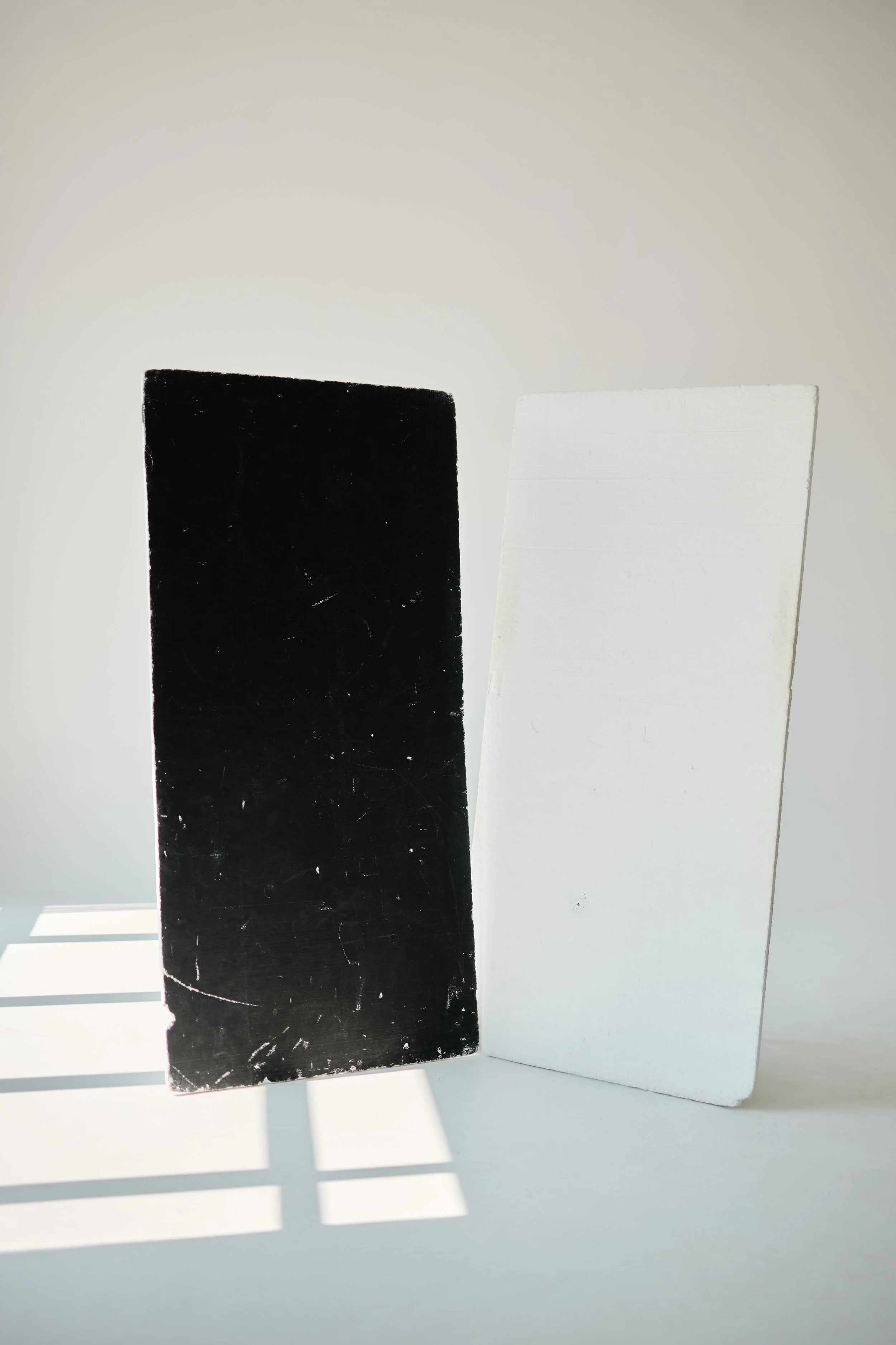 PT8_3956.jpg