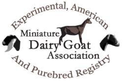 Miniature Dairy goat Association