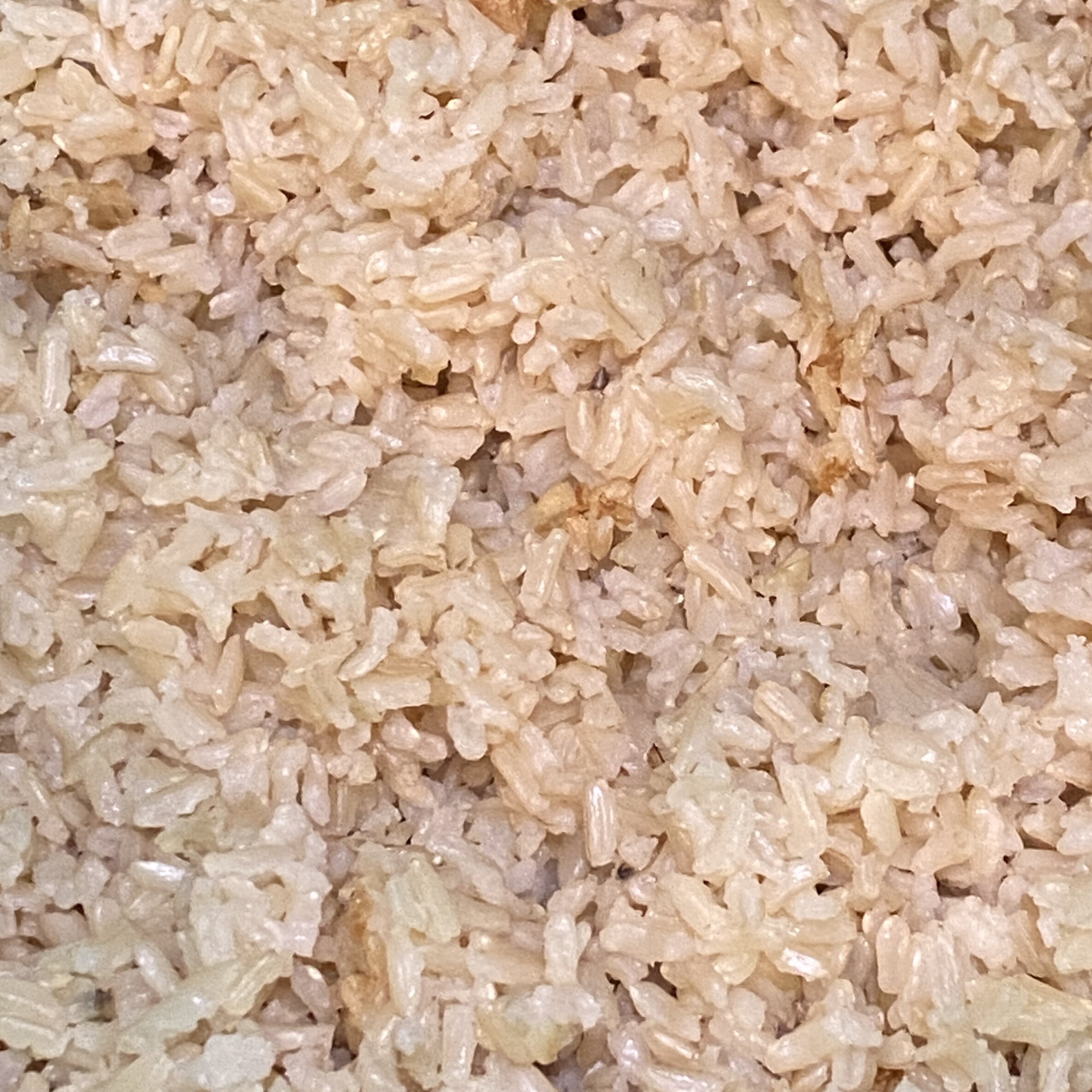 Cooked Brown Rice