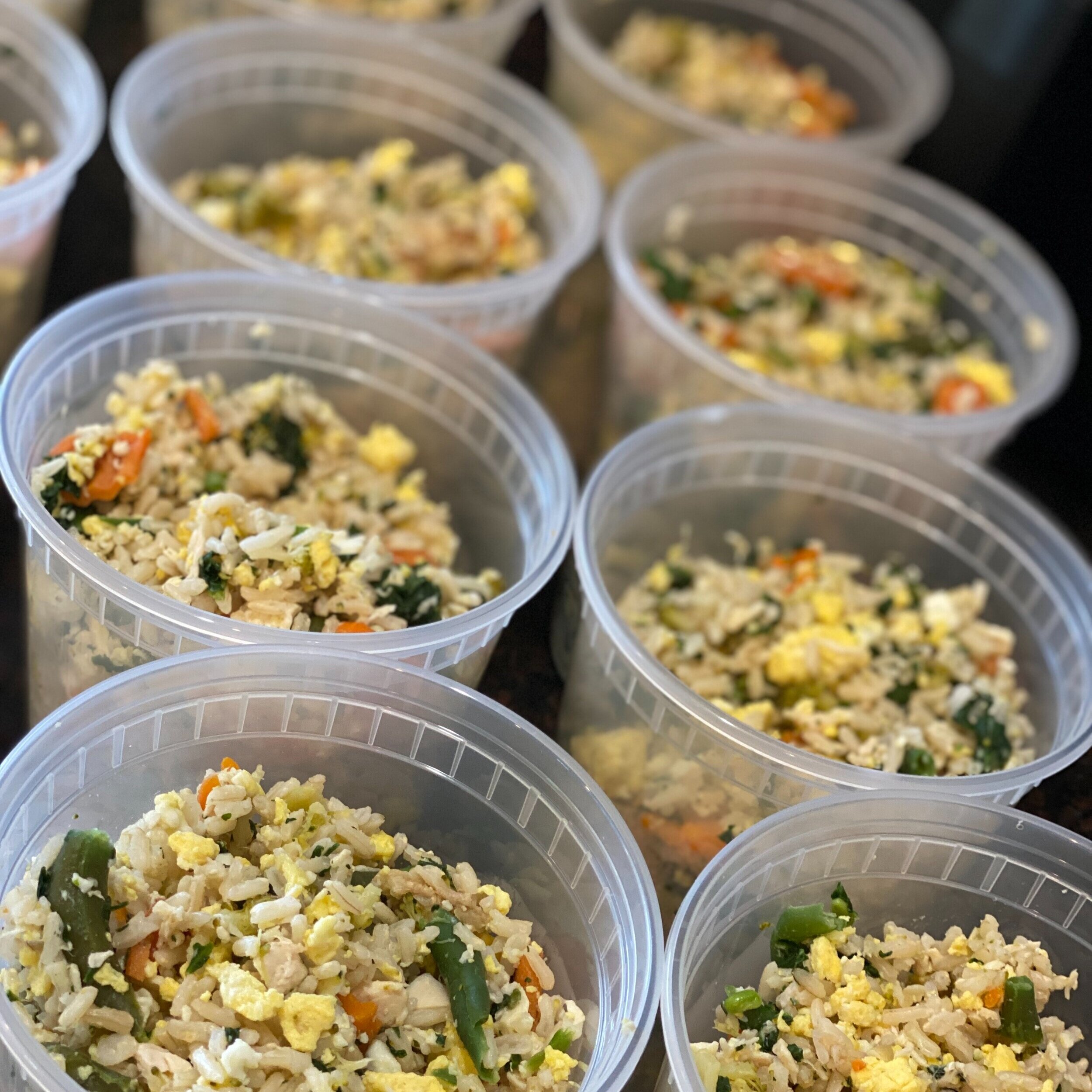 Put Dog Food In Containers