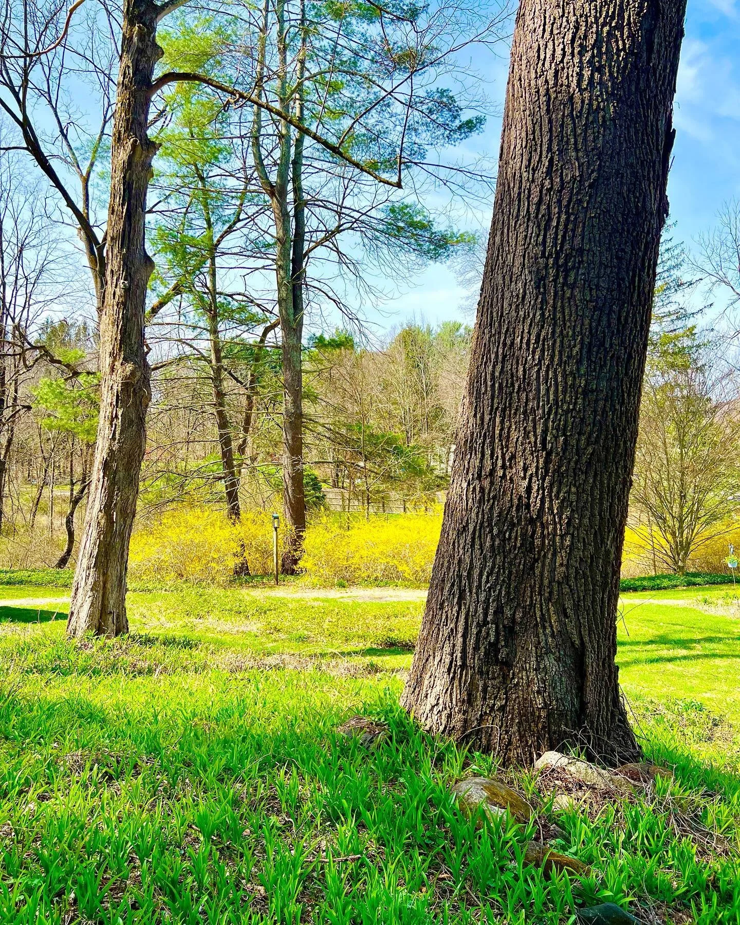 Vaccines for &lt;5 are here! Which should you choose?

I&rsquo;ve been getting soooo many messages with different variations of this question. Doing my best to answer them all (bear with me, it&rsquo;s a busy week in the hospital!) and will keep shar