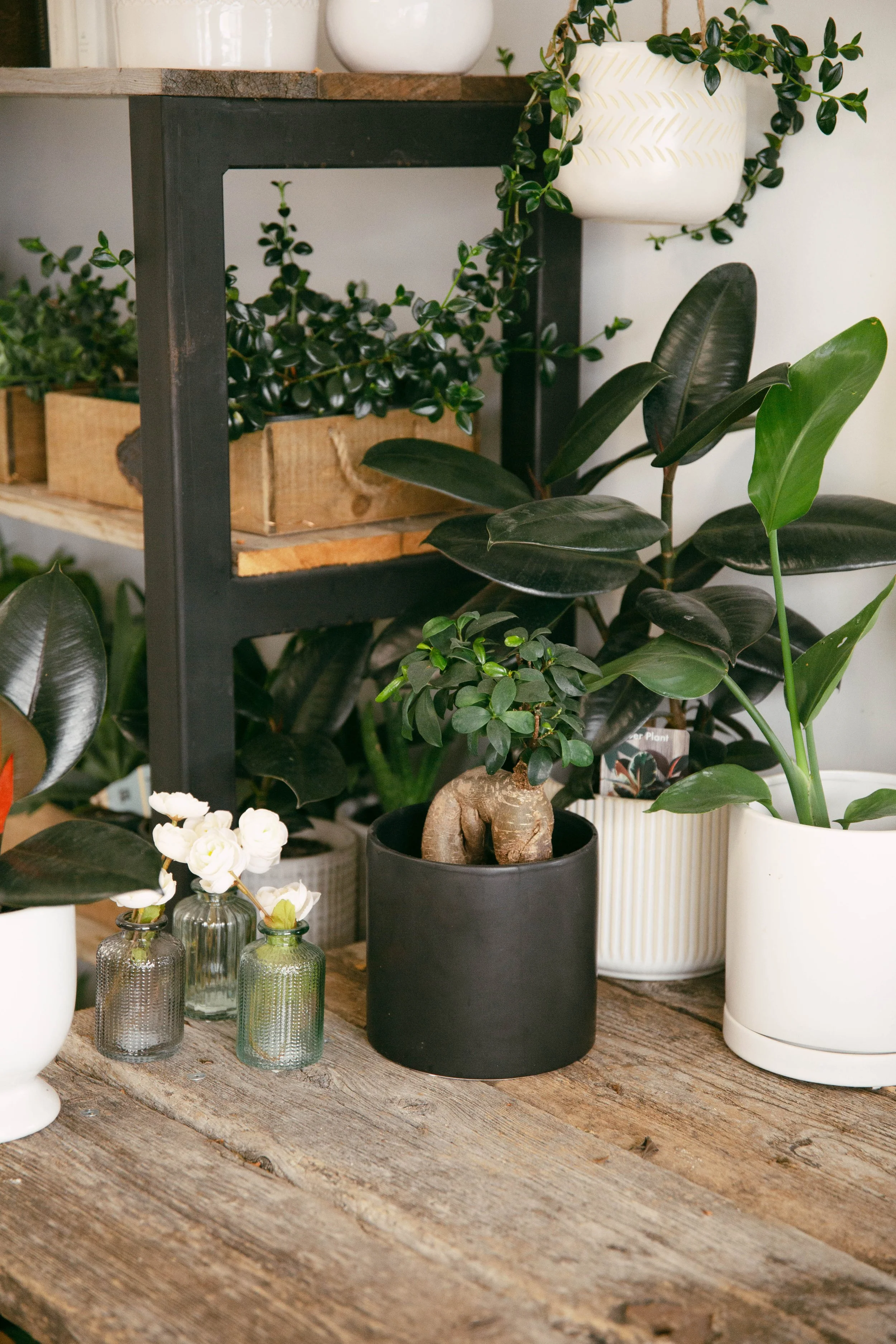 earth_buds_florist_winkler_plant_shop.jpg