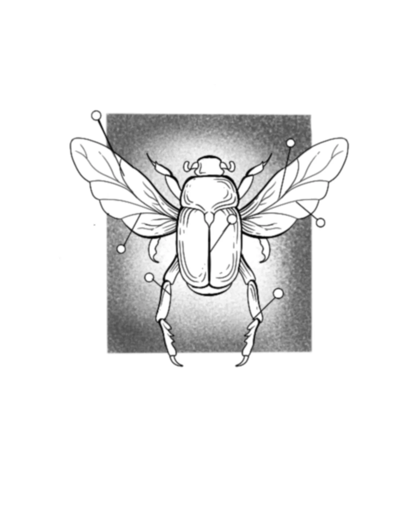 Beetle-1 Offs-3"-$200