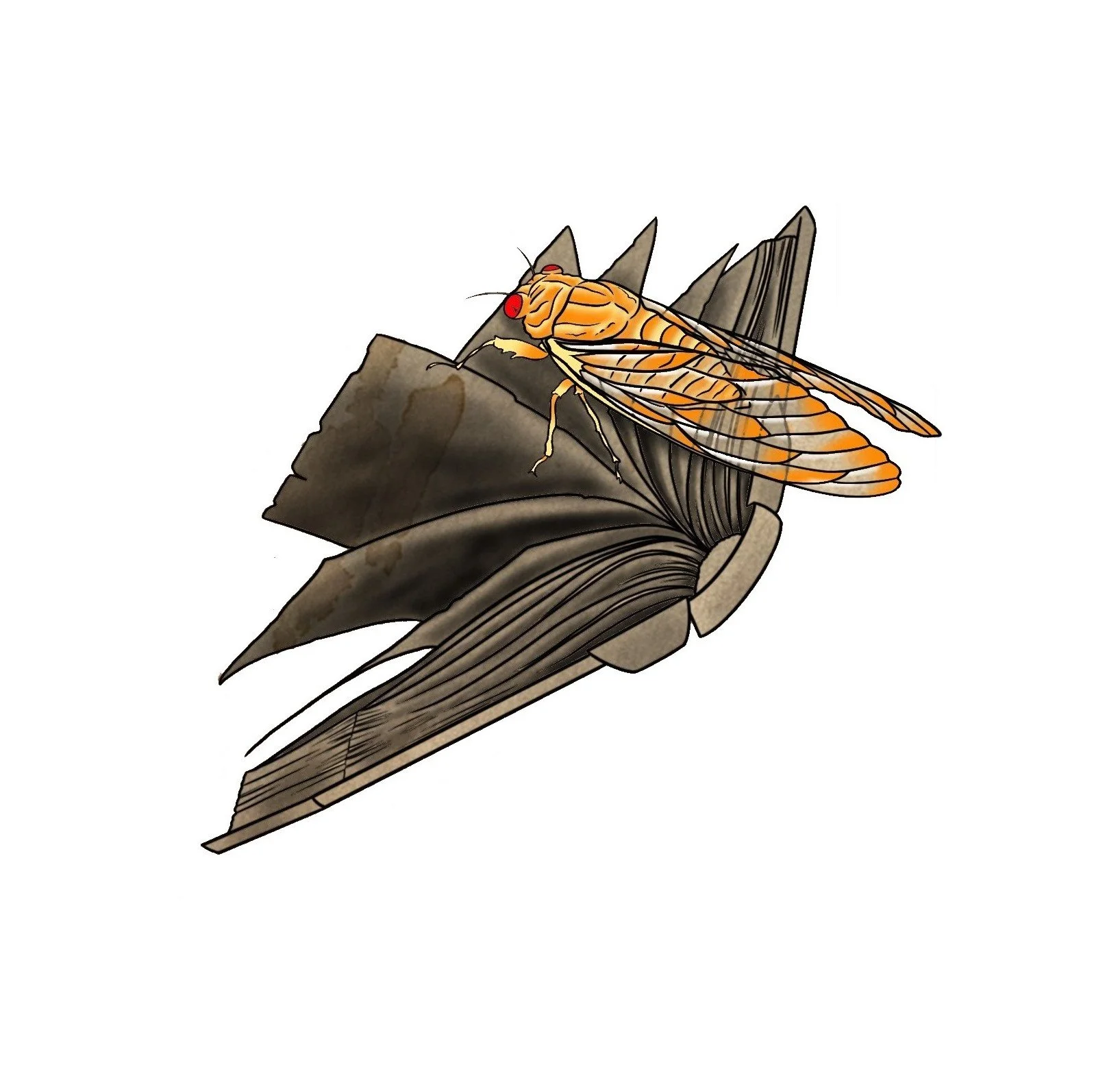 Cicada Book-Orange-4"-$250