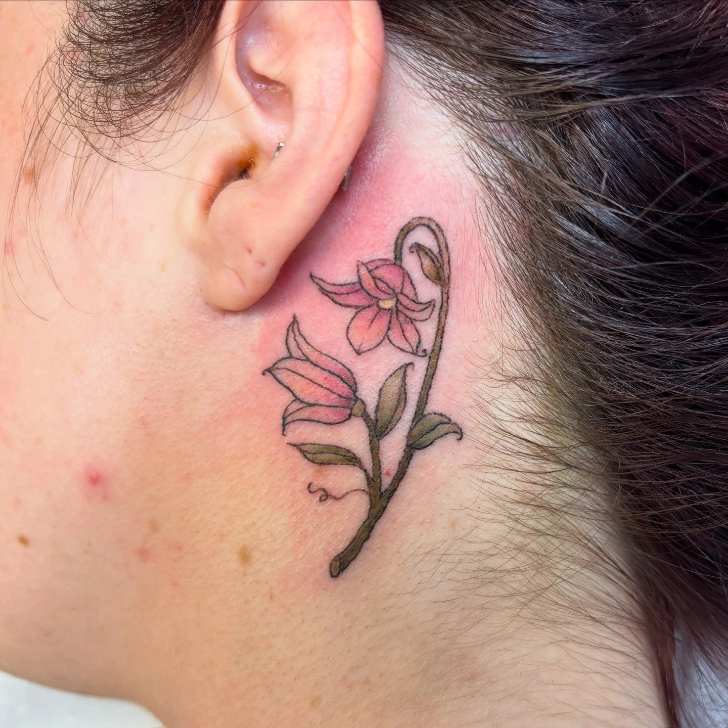 Some flowers behind the ear done by Casey 🌸 She still has time this month so text 732-451-8469 to book with her!

#flower #flowertattoo #colortattoo #finelinetattoo #behindtheeartattoo #njtattoo #njtattooartist #njtattooshop #bricknj #oceancountynj