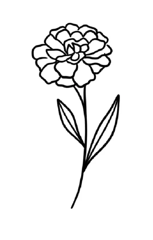 Marigold-October Birth Flower