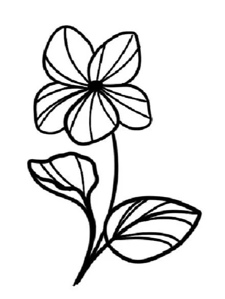 Violet-February Birth Flower