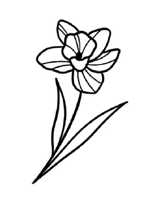 Daffodil-March Birth Flower