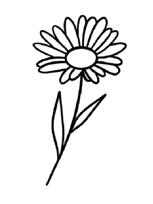 Daisy-April Birth Flower