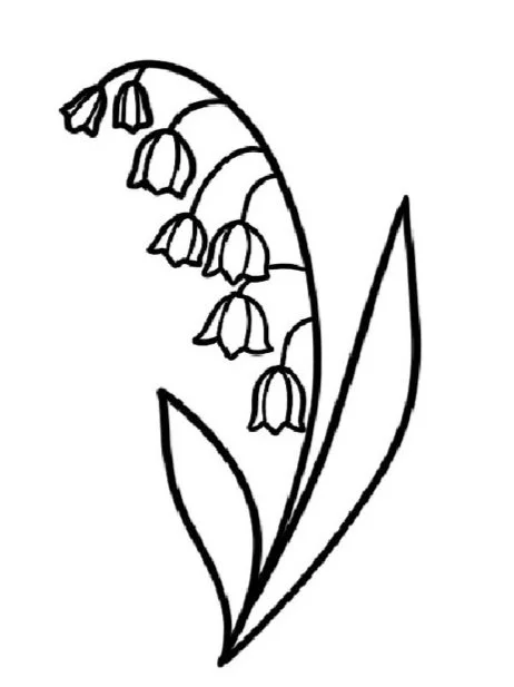 Lily of the Valley-May Birth Flower