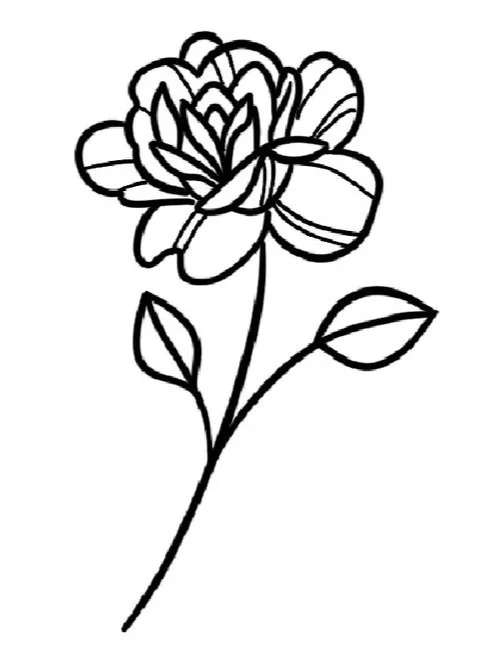 Rose-June Birth Flower