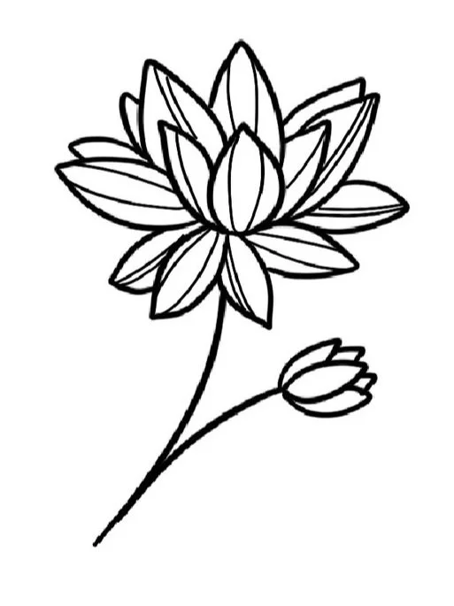 Water Lily-July Birth Flower