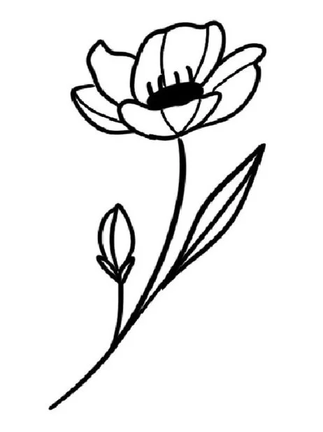 Poppy-August Birth Flower