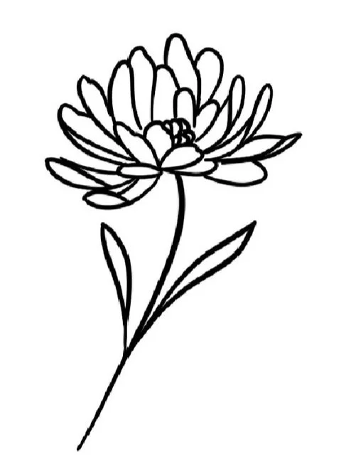 Chrysanthemum-November Birth Flower