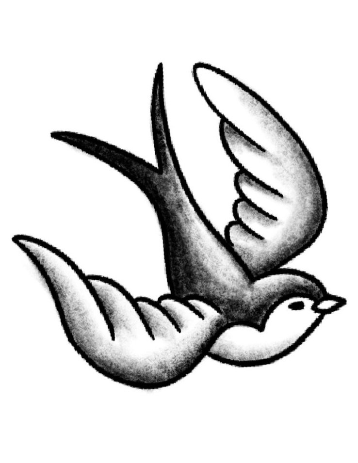 Swallow-American Traditional