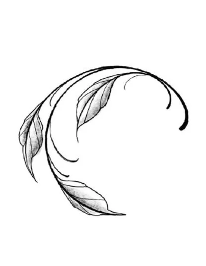 Curved Branch-Fine Line