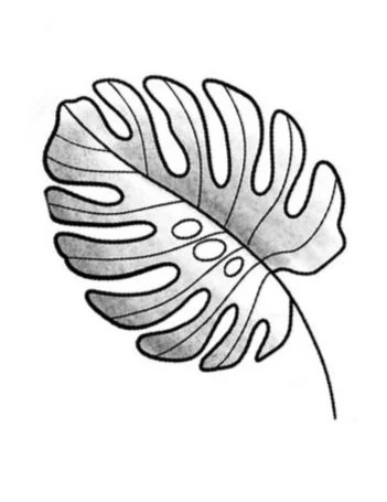 Monstera Leaf-Fine Line