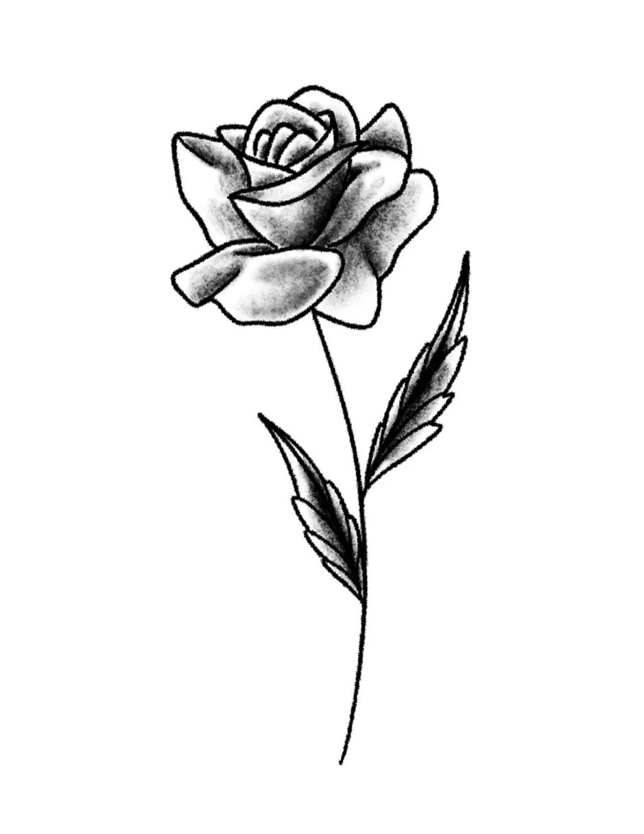 Rose-Fine Line