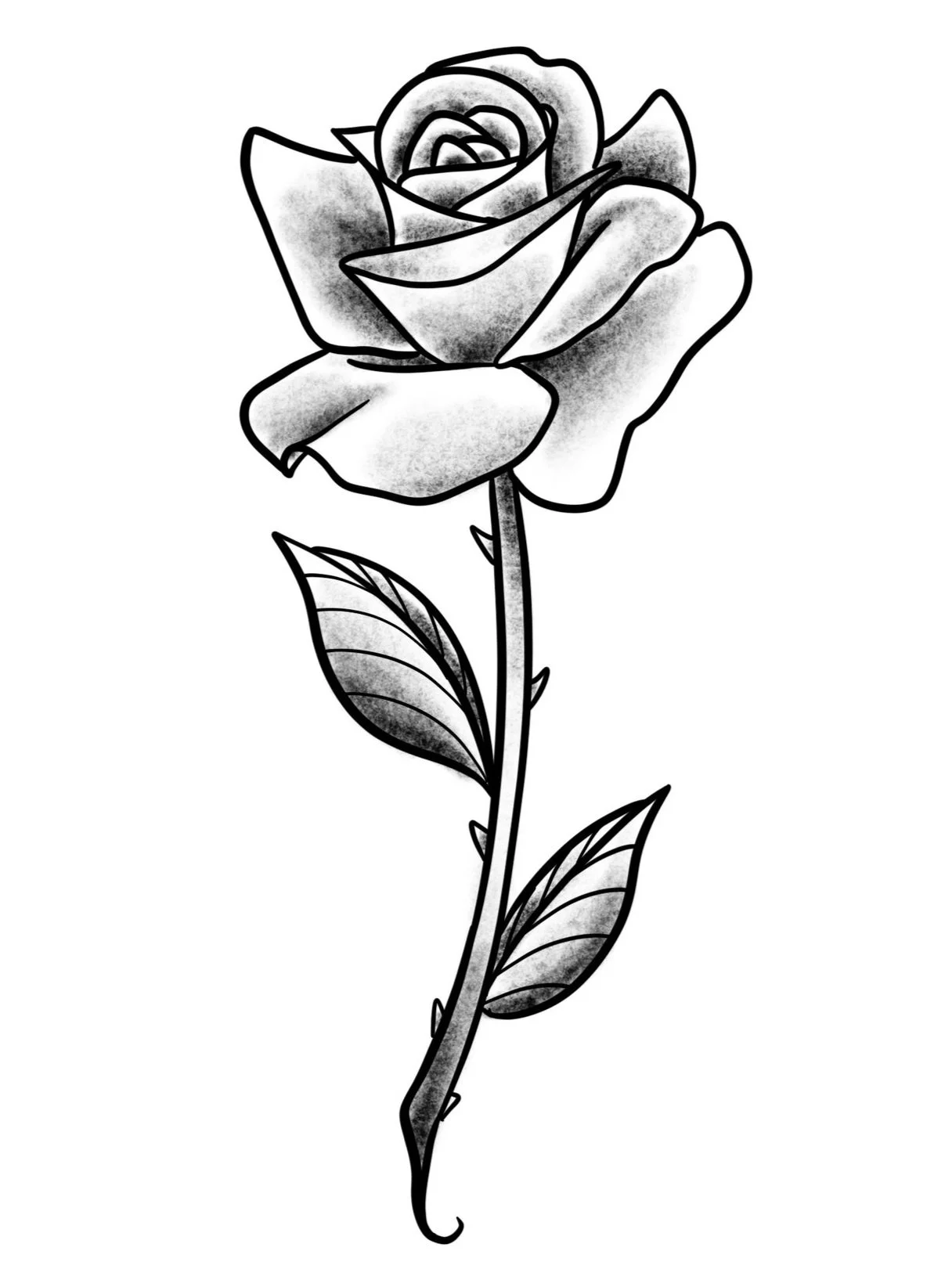 Thorny Rose-Fine Line