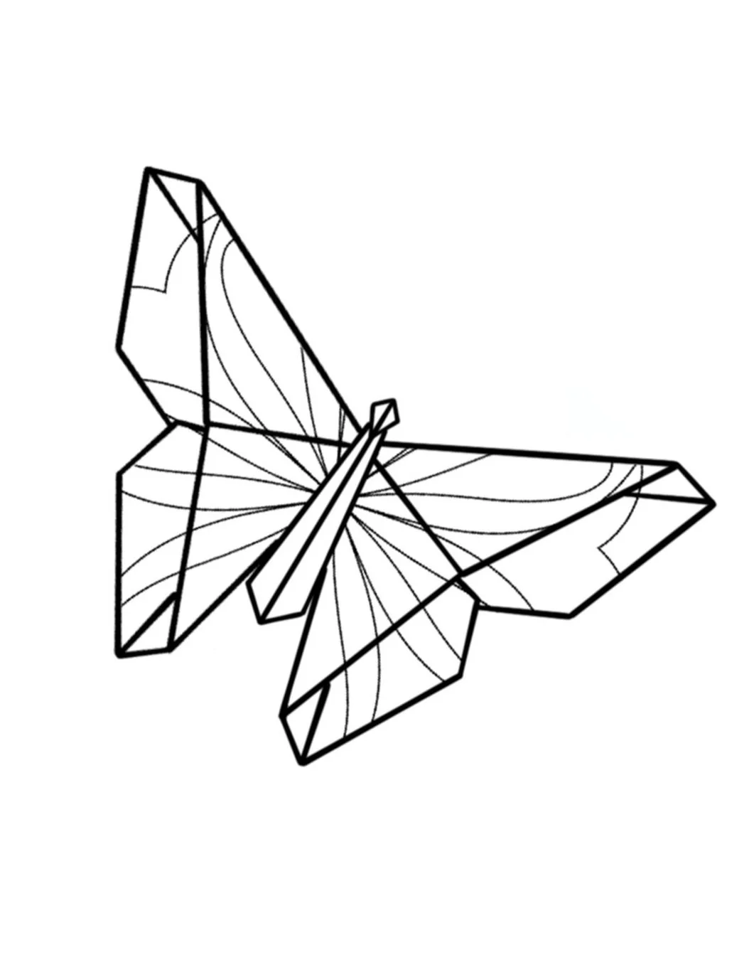 Origami Butterfly-Fine Line