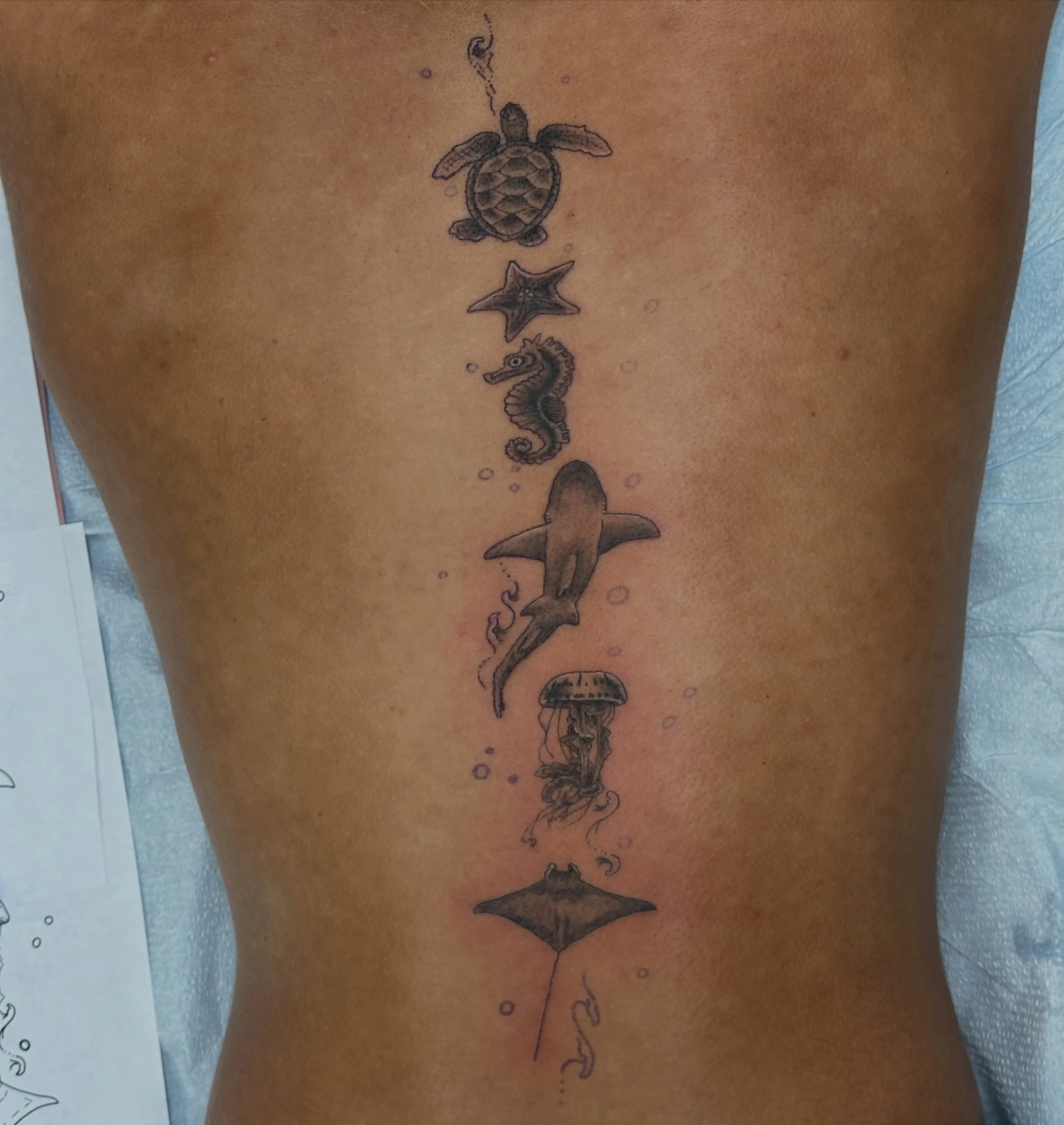 I had fun with this spinal sea piece!

🌊🦈
