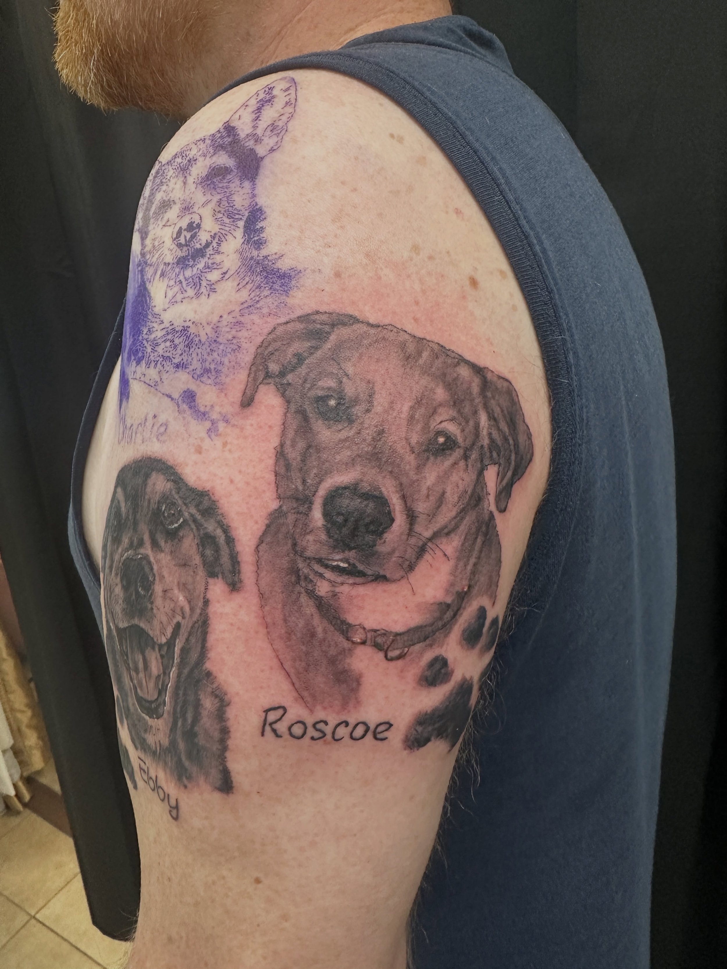 Photorealistic dogs by Caroline #dogtattoos #photorealismtattoos #radiantenergytattoo #femaletattooartist