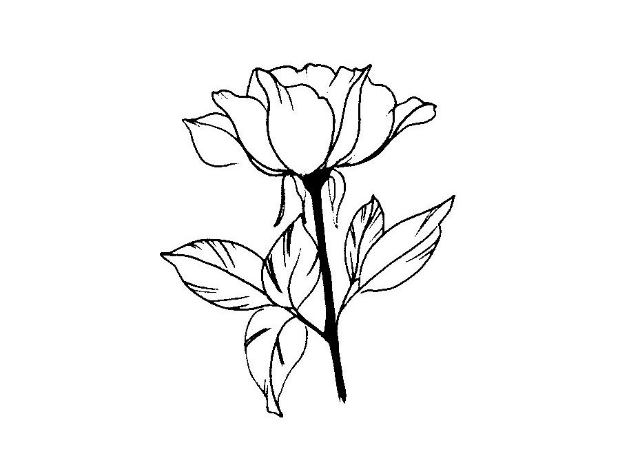 Flower-MBMC-$150