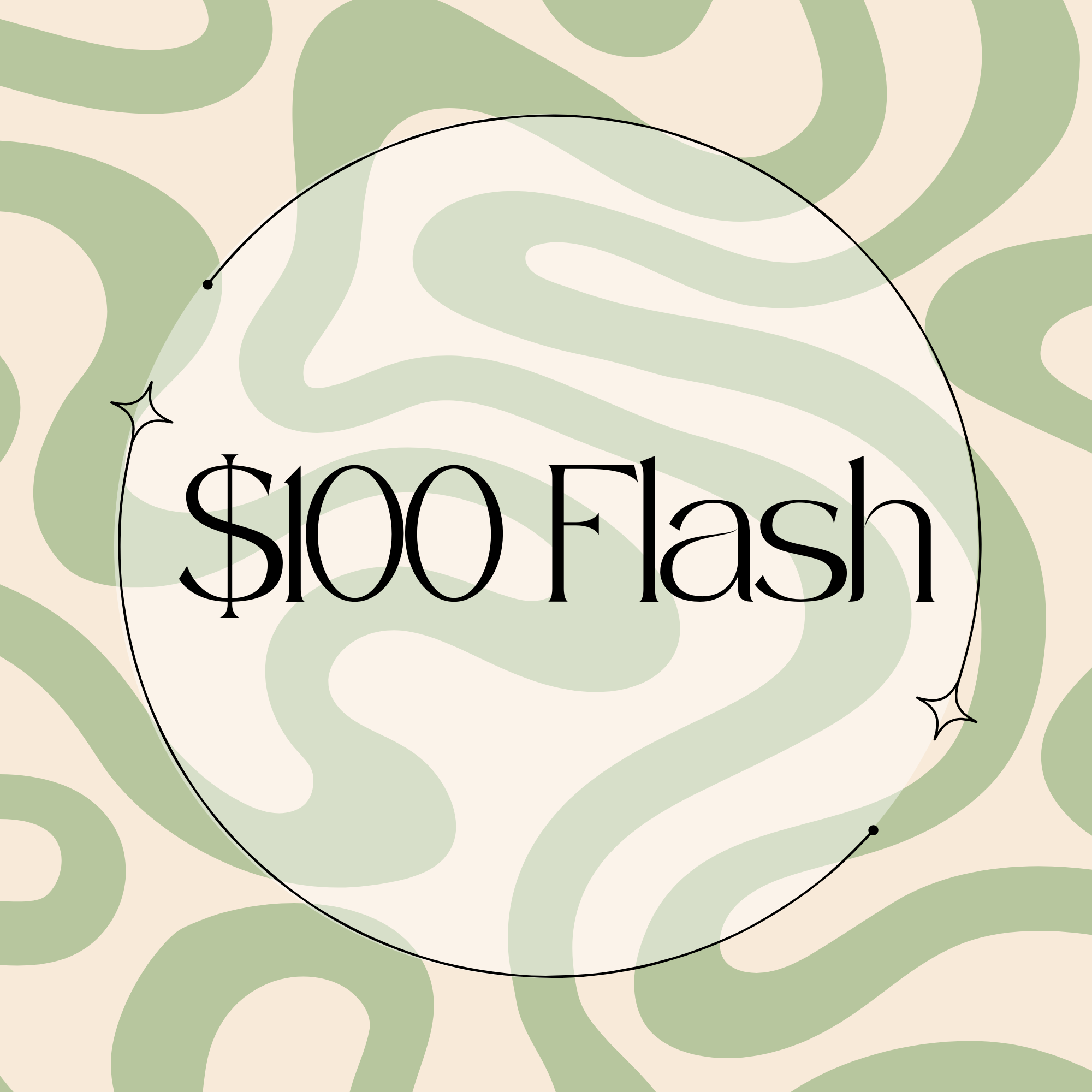 $100 Flash