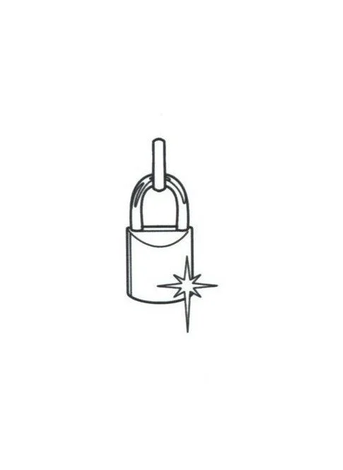 Lock-MBMC-$100