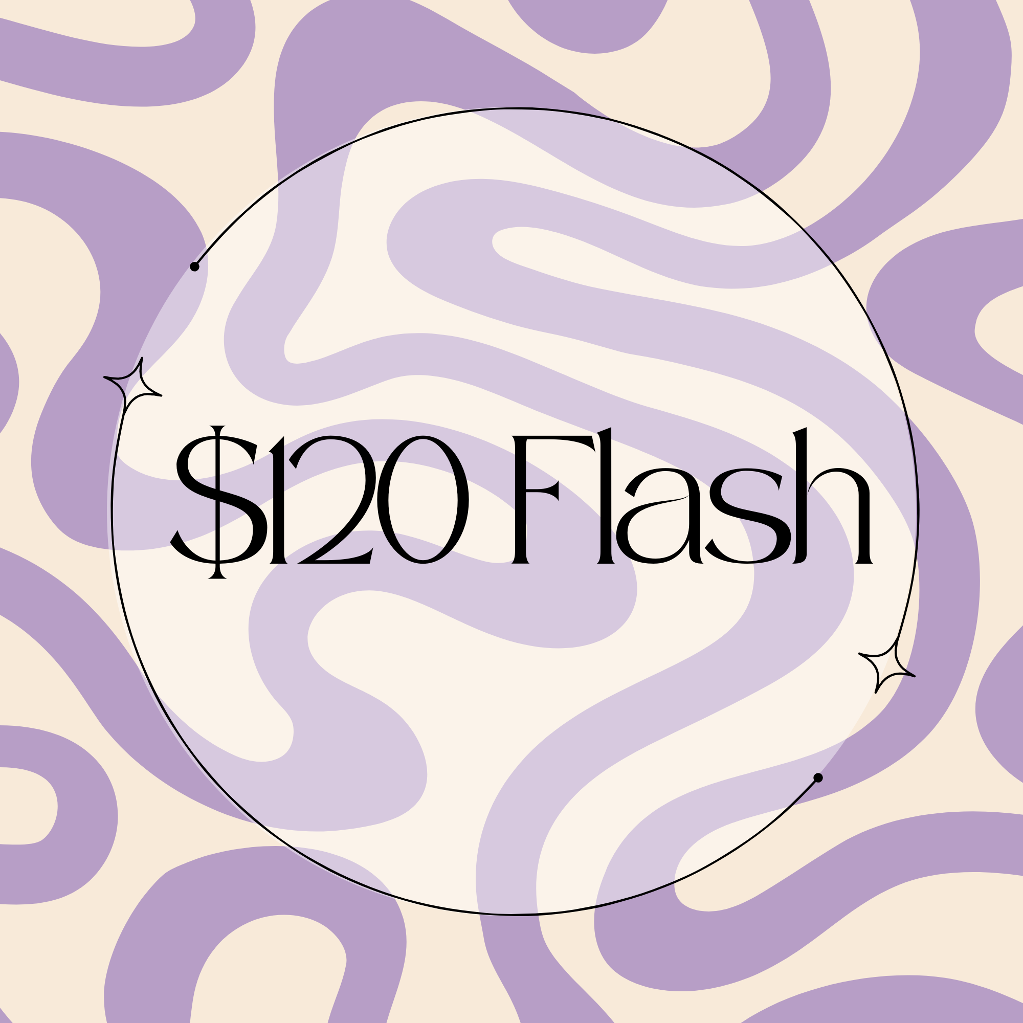 $120 Flash