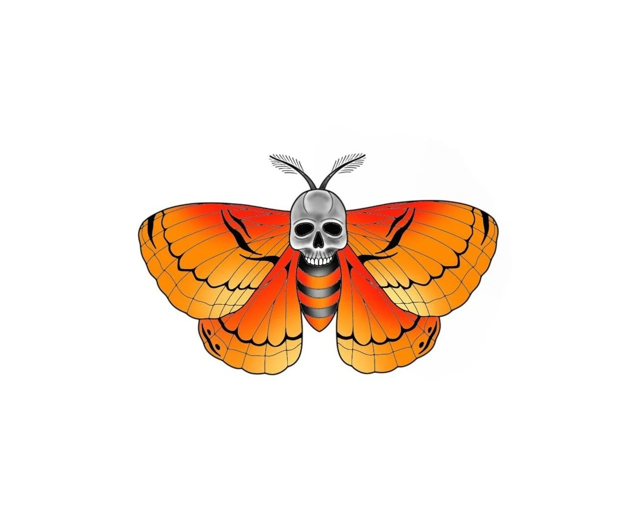 Skull Moth-Orange-2.5"-$250
