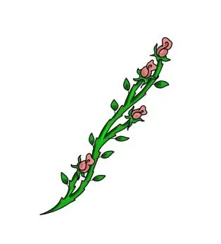 Floral Band-May 5th-5.5"-$180