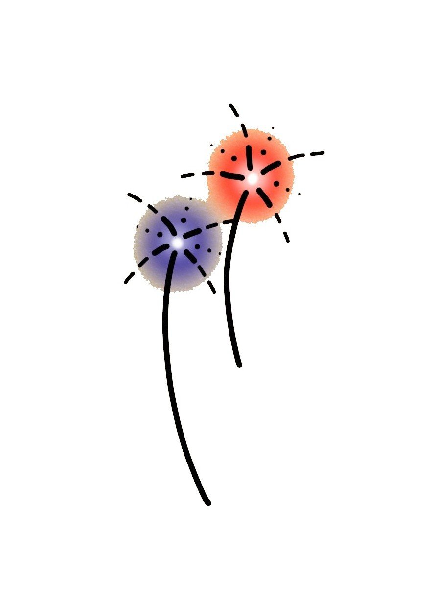 Fireworks-July 4th-3"-$120