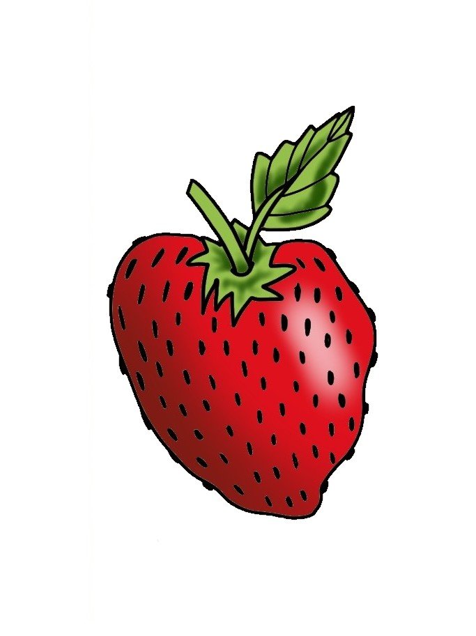Strawberry-May 5th-2"-$130