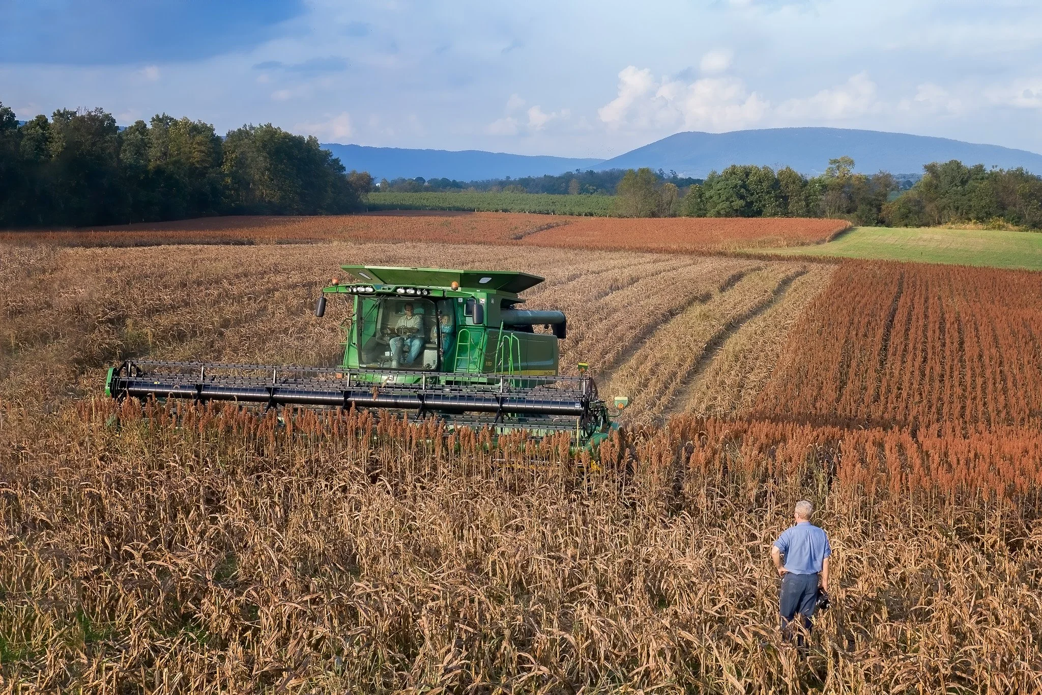 DJI_0084-Edit-Edit.jpg