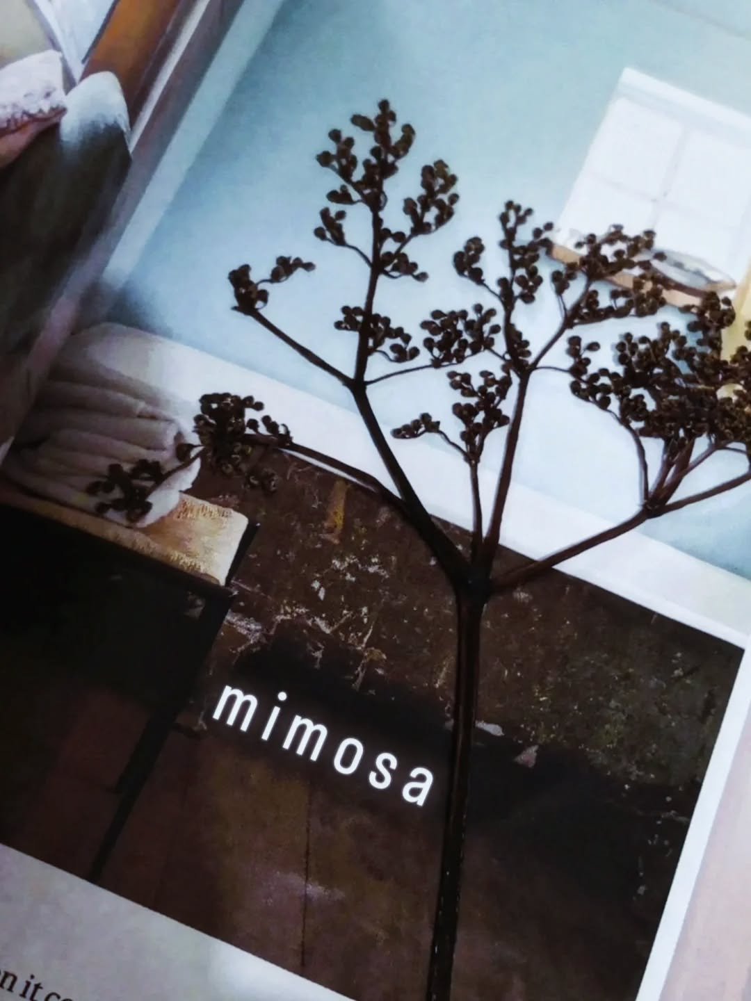 Last week I exposed this to a screen, I'm looking forward to seeing how well it transfers to paper........