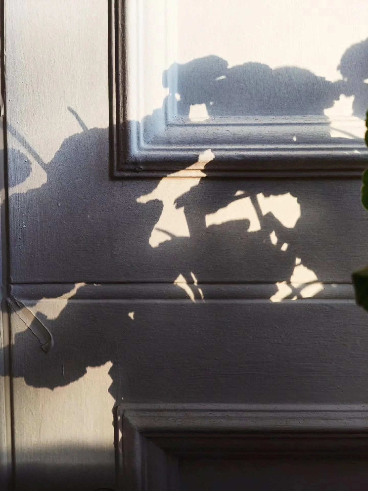 Evening shadow.......