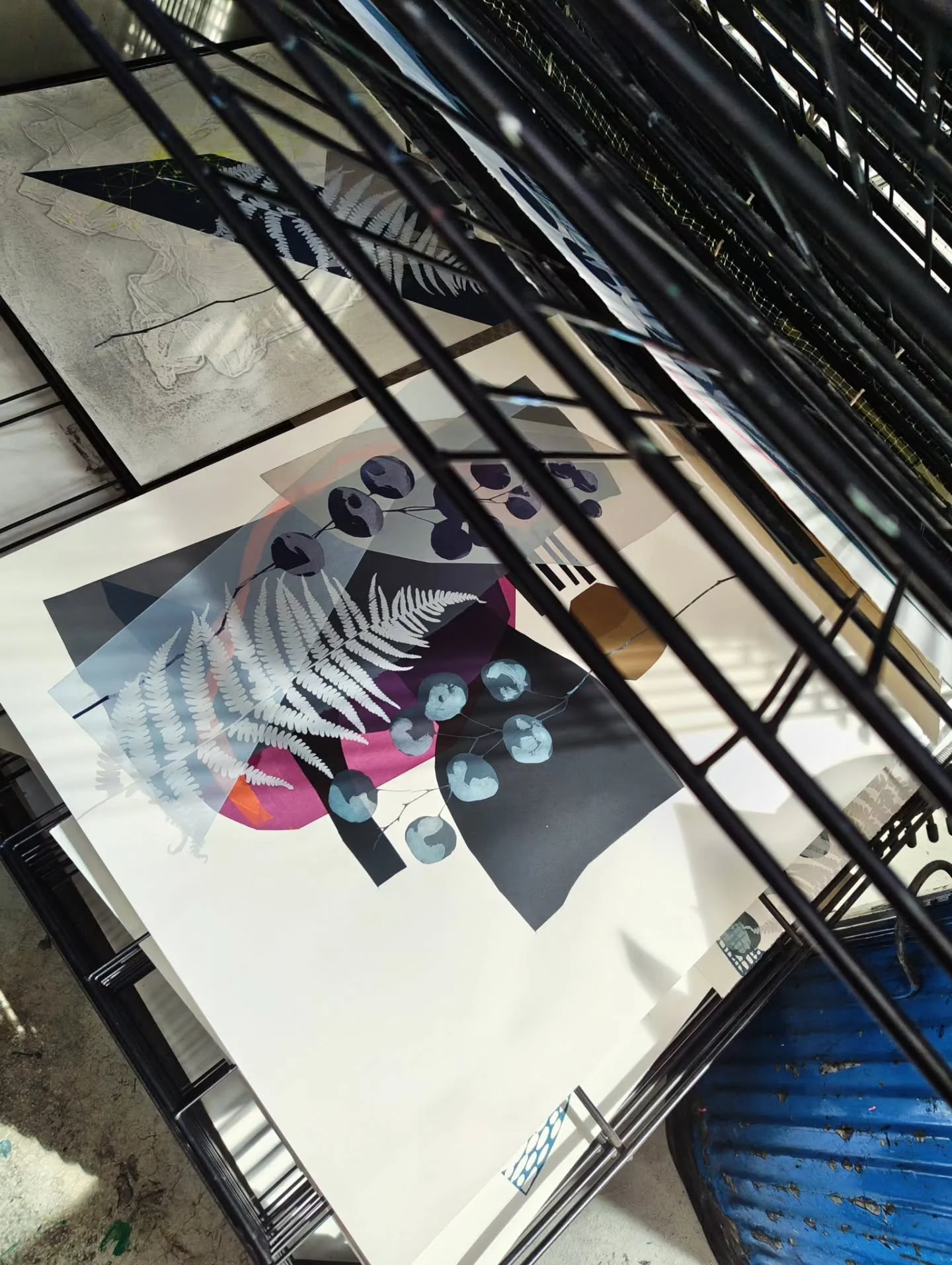 Loving the sunlight hitting the work @edinburghprintmakers