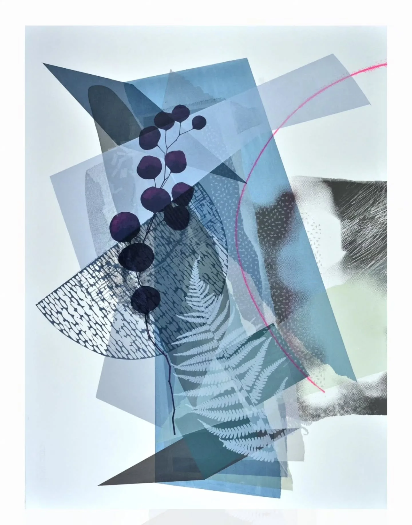 F j o r d  I......a new screen print completed this summer @edinburghprintmakers....too many subtle layers to count......I collected and pressed the fern leaf from a beautiful walk in Dunkeld...the eucalyptus stem is an old favourite.....you can have