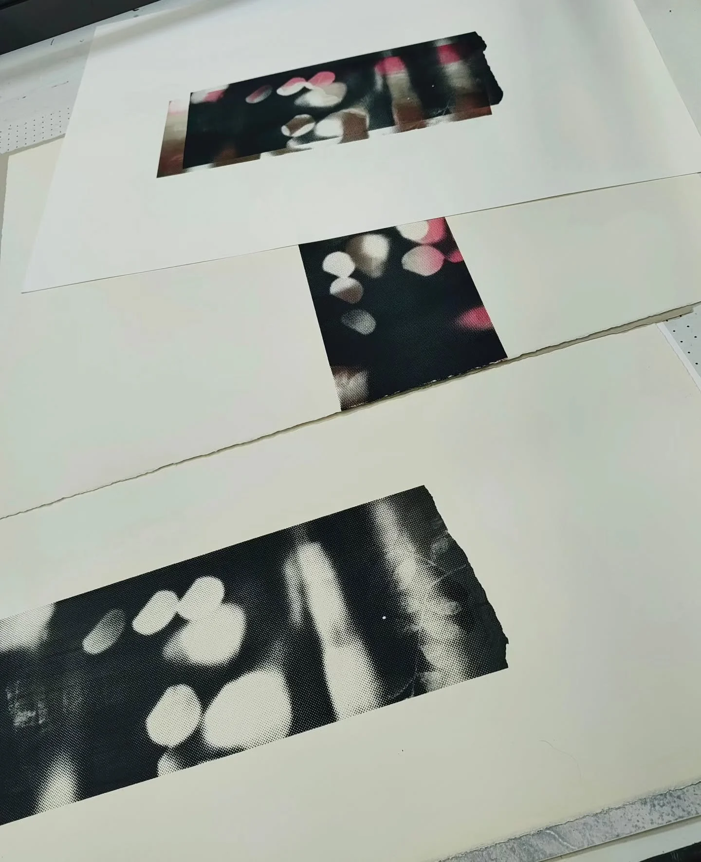 N e w  works in progress......a lovely bit of time to work on these coming up.....@edinburghprintmakers