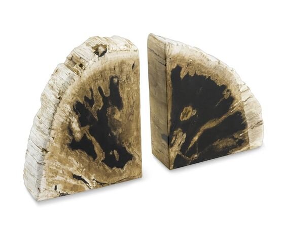 Williams Sonoma Petrified Wood Bookends