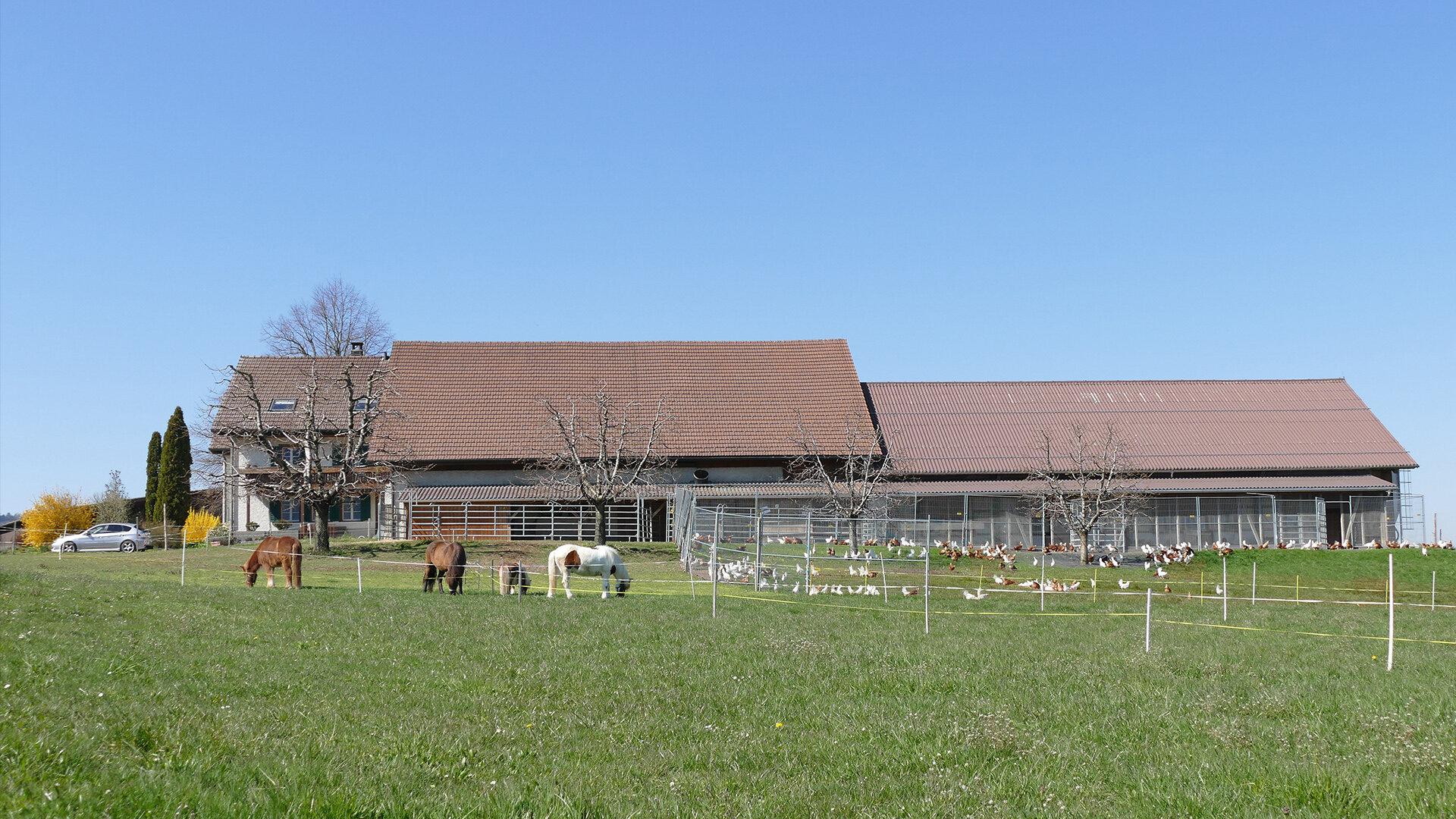 Auf diesem Bild sehen Sie den ganzen Bauernhof der Familie Frei in Ehrendingen.
