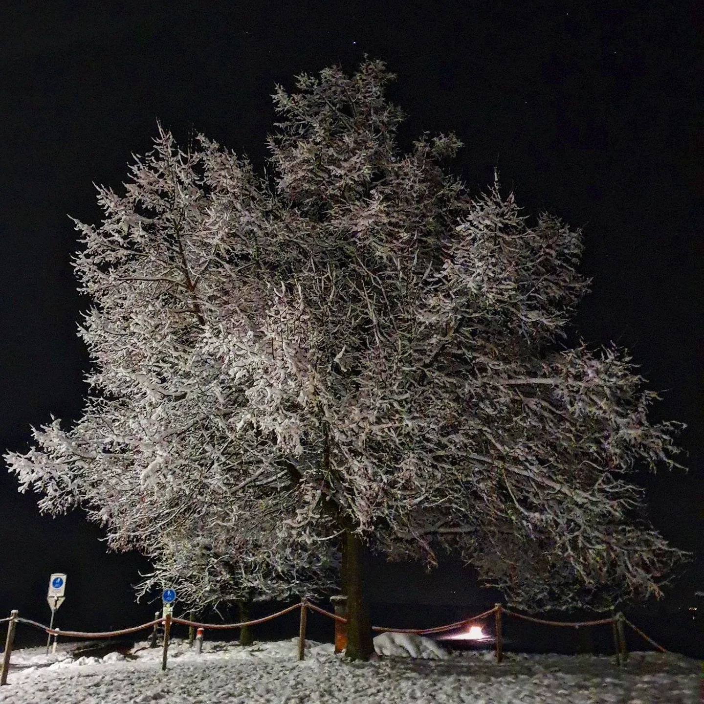 Bald stehen die Feiertage vor der T&uuml;r und die Schneelandschaft verbreitet Weihnachtsstimmung.❄️

Wir danken Ihnen f&uuml;r Ihre Treue und freuen uns, wenn wir Sie an unseren traditionellen &quot;Kafi &amp; Chueche&quot; Tagen am Freitag, 23. und