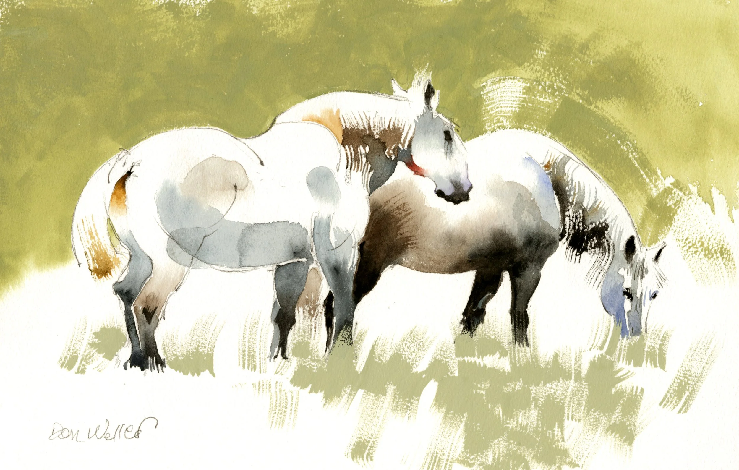 Weller_Mini_2026_Grazing Grays Don Weller.jpg