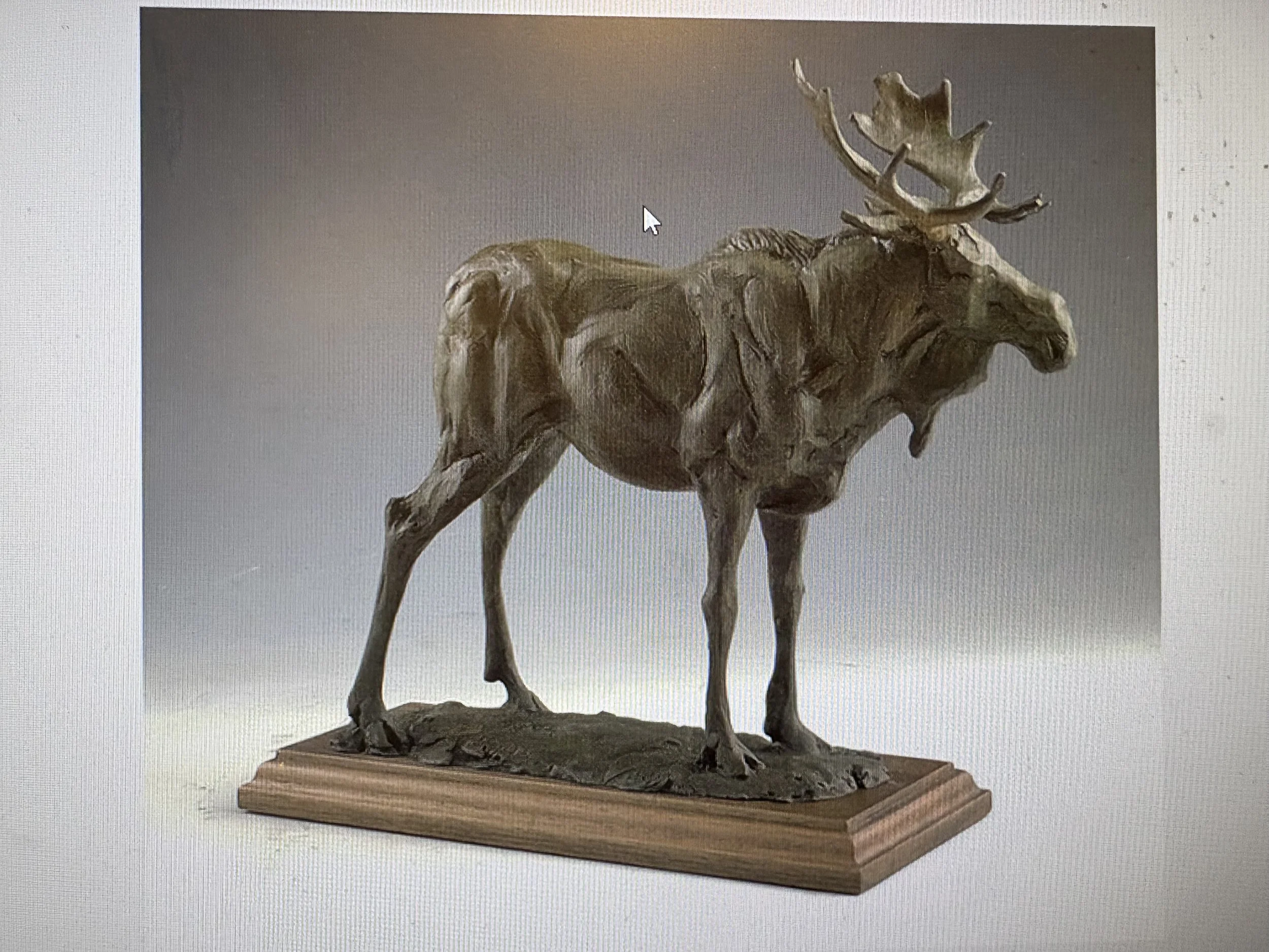 "Moose Study" - Sandy Scott